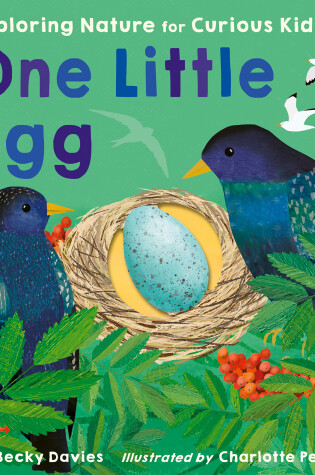 Cover of One Little Egg