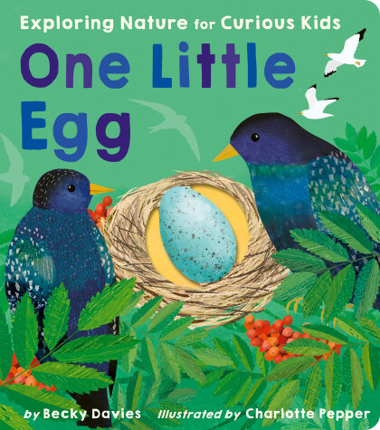 Book cover for One Little Egg