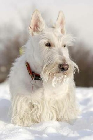 Cover of White Scottish Terrier Dog in the Snow Journal