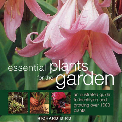 Book cover for Essential Plants for the Garden