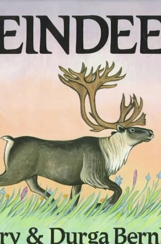 Cover of Reindeer