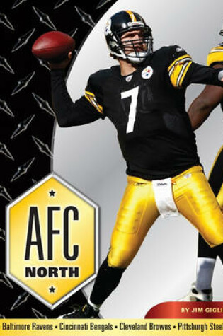 Cover of AFC North