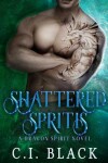 Book cover for Shattered Spirits