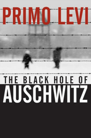 Cover of The Black Hole of Auschwitz