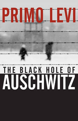 Book cover for The Black Hole of Auschwitz