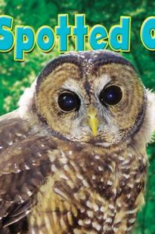 Cover of Spotted Owl