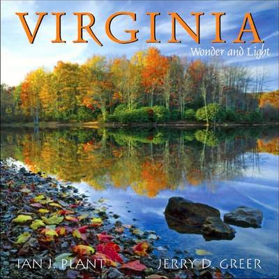 Book cover for Virginia Wonder and Light