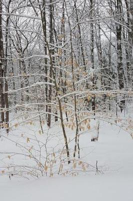 Cover of Journal Winter Weather Pretty Scene