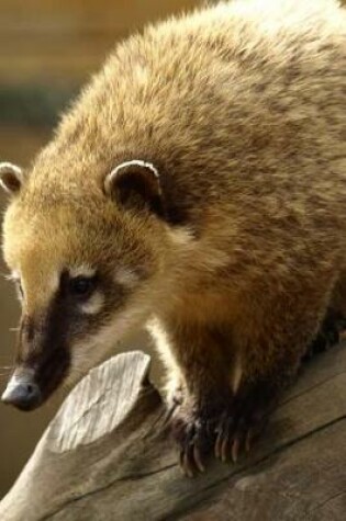 Cover of A Coati Climbing Down Journal