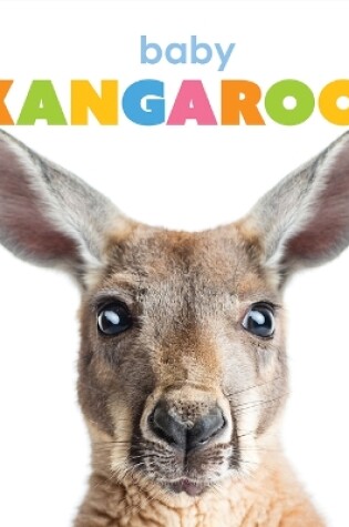 Cover of Baby Kangaroos
