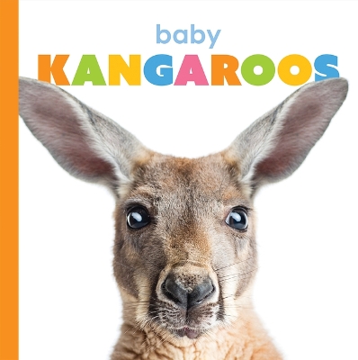 Book cover for Baby Kangaroos