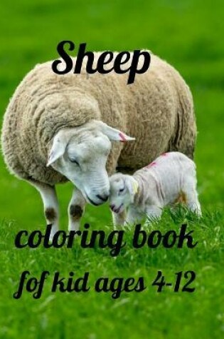 Cover of Sheep coloring book for kid ages 4-12