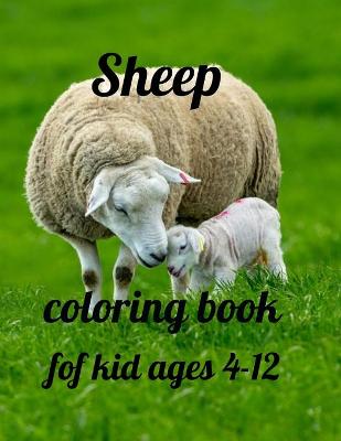 Book cover for Sheep coloring book for kid ages 4-12