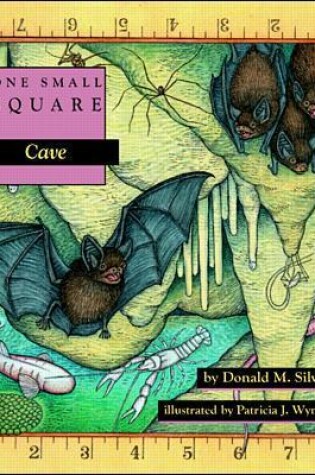 Cover of Cave