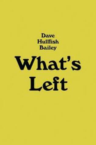 Cover of Dave Hullfish Bailey - What`s Left