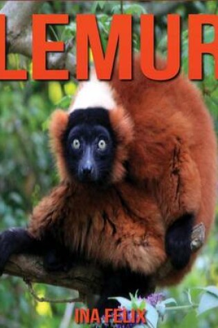 Cover of Lemur