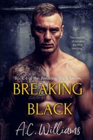 Cover of Breaking Black