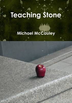 Book cover for Teaching Stone