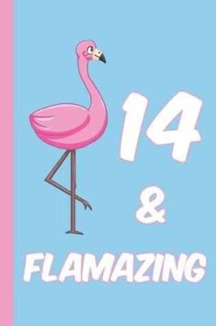 Cover of 14 and Flamazing