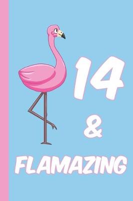 Book cover for 14 and Flamazing