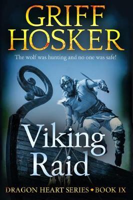 Book cover for Viking Raid