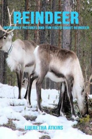 Cover of Reindeer