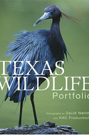 Cover of Texas Wildlife Portfolio