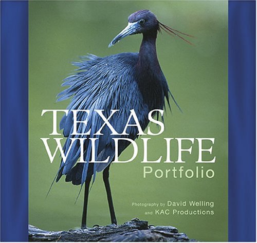 Book cover for Texas Wildlife Portfolio