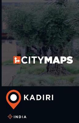 Book cover for City Maps Kadiri India