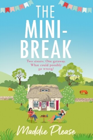 Cover of The Mini-Break