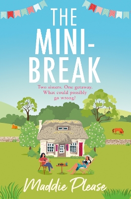 Book cover for The Mini-Break