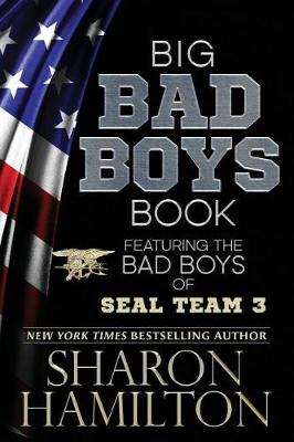 Book cover for Big Bad Boys Book