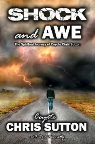 Cover of Shock and Awe