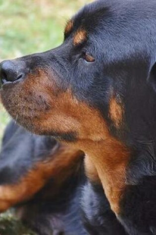 Cover of Rottweiler Resting in the Grass Journal