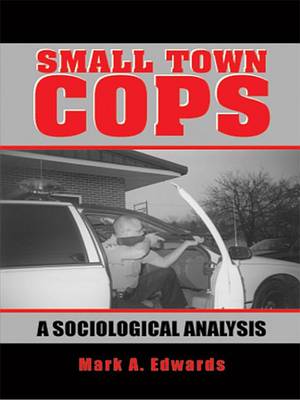 Book cover for Small Town Cops