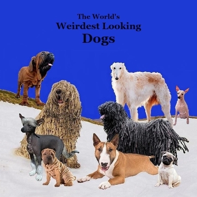 Book cover for Weirdest Looking Dogs in the World Kids Book