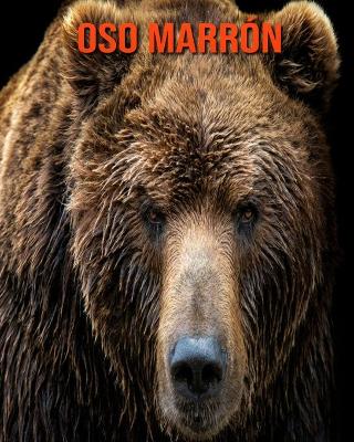 Book cover for Oso marrón