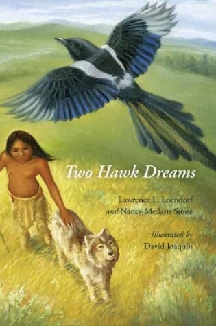 Cover of Two Hawk Dreams