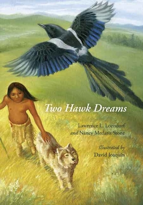 Book cover for Two Hawk Dreams