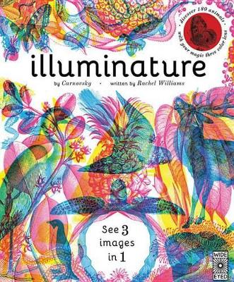 Book cover for Illuminature