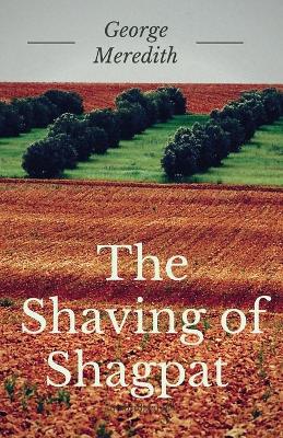 Book cover for The Shaving of Shagpat