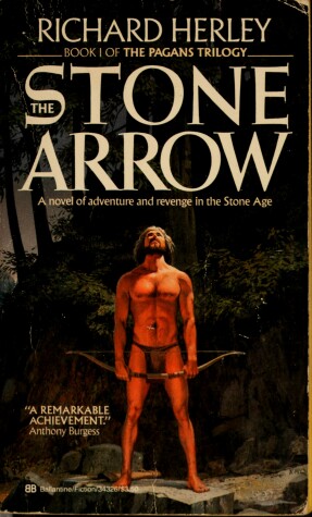 Book cover for The Stone Arrow