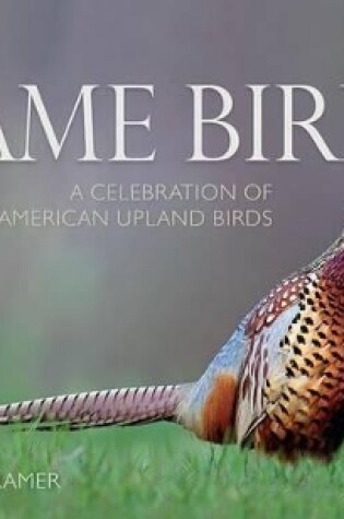 Cover of Game Birds (Ring-Necked Pheasant Cover)