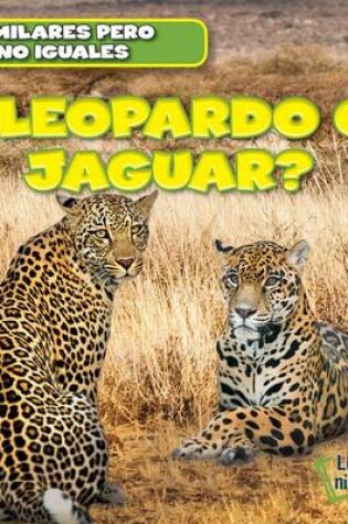 Cover of ¿Leopardo O Jaguar? (Leopard or Jaguar?)