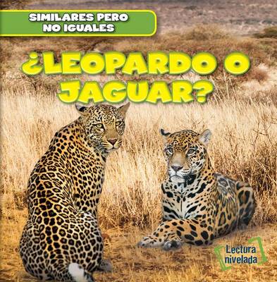 Cover of ¿Leopardo O Jaguar? (Leopard or Jaguar?)