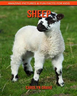 Book cover for Sheep