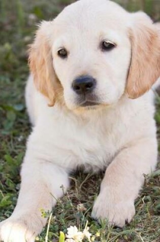 Cover of Golden Retriever Puppy Journal