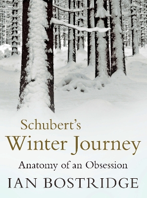 Book cover for Schubert's Winter Journey