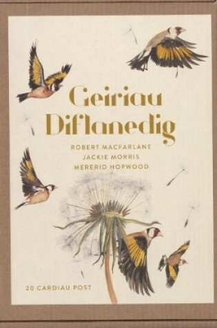 Cover of Geiriau Diflanedig (20 Cardiau Post)