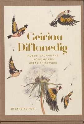 Cover of Geiriau Diflanedig (20 Cardiau Post)